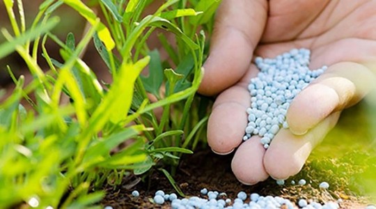 Amoni Clorua là gì? Tính chất, cách sản xuất và ứng dụng